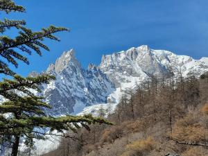 courmayeur