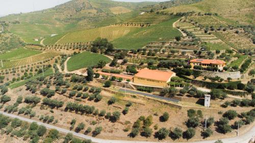 quinta dona matilde
