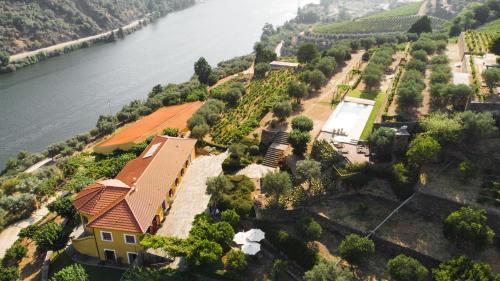 quinta dona matilde