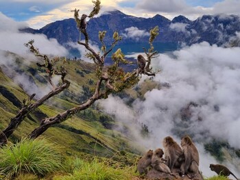 sembalun lawang