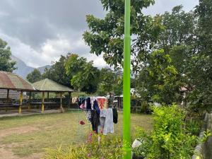 tresno sembalun rinjani