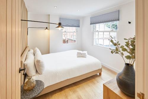 host stay cosy coastal golden lion apartments