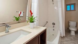 best western royal palace inn and suites
