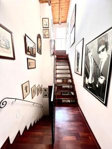 saint patrick bandb guesthouse