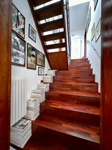 saint patrick bandb guesthouse