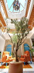 essaouira