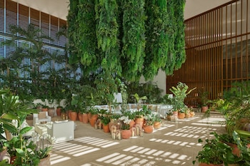 the riviera maya edition at kanai