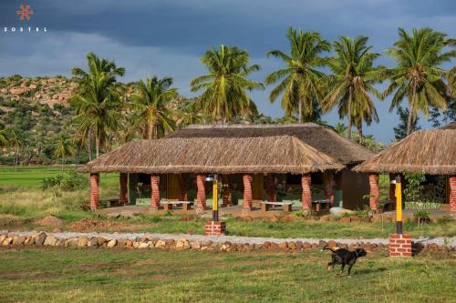 zostel hampi gangavathi
