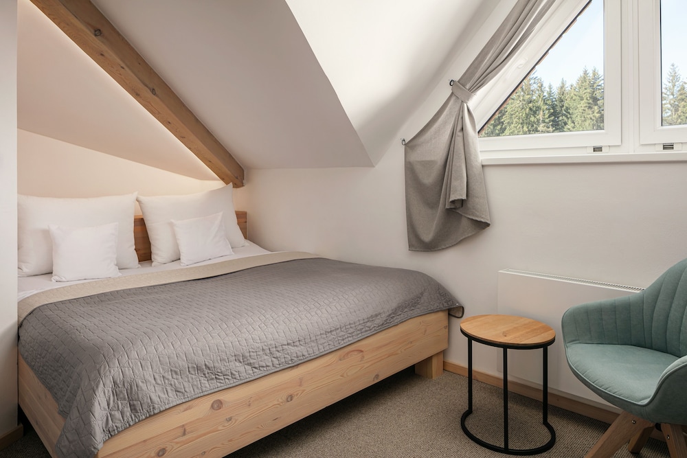 ski and spa bellevue harrachov