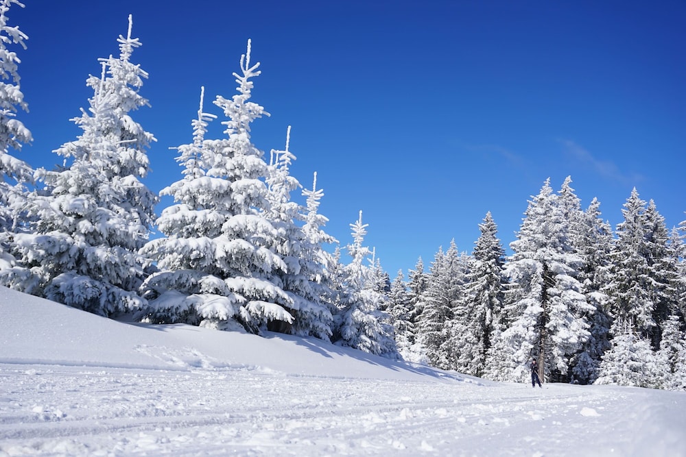 harrachov