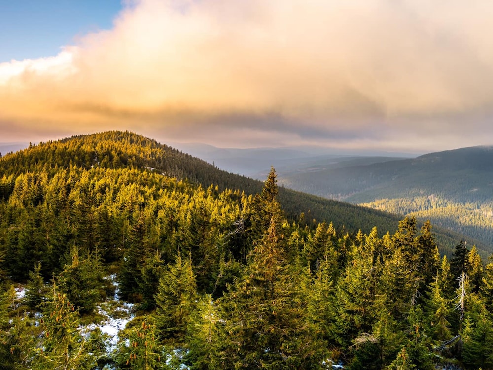 harrachov