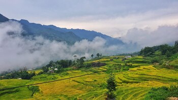 sa pa
