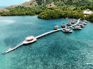 macang tanggar