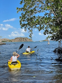 menjaga bay