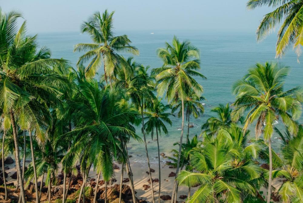 dersy beach resort