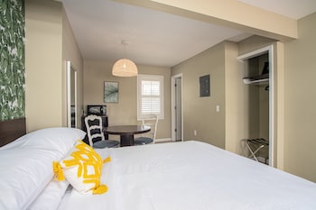 the local st augustine