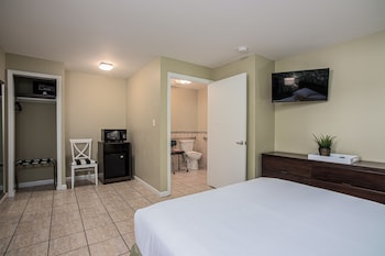 the local st augustine