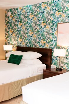 the local st augustine