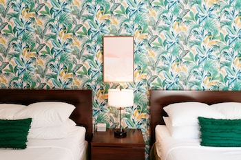 the local st augustine