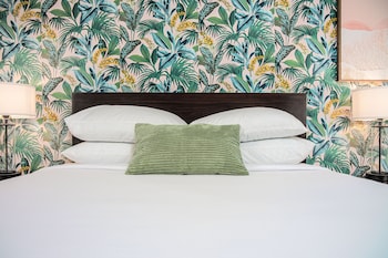 the local st augustine