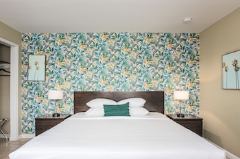 the local st augustine