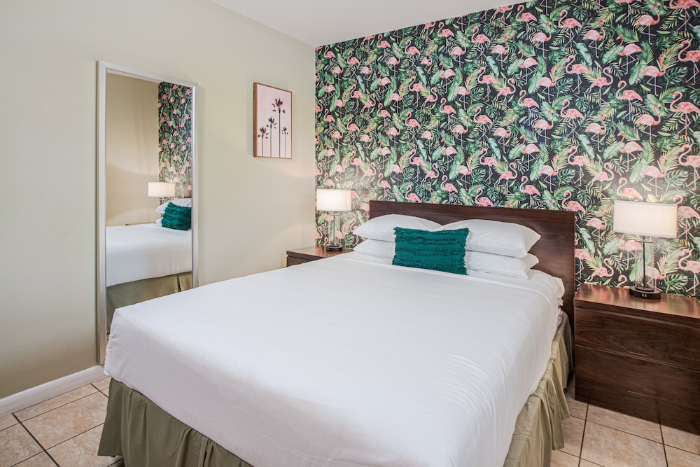 the local st augustine