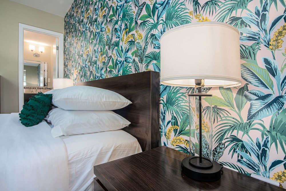 the local st augustine