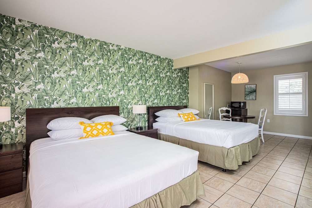 the local st augustine