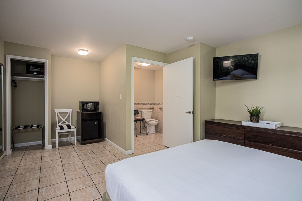 the local st augustine