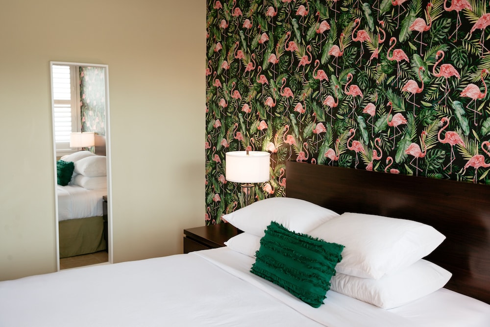 the local st augustine