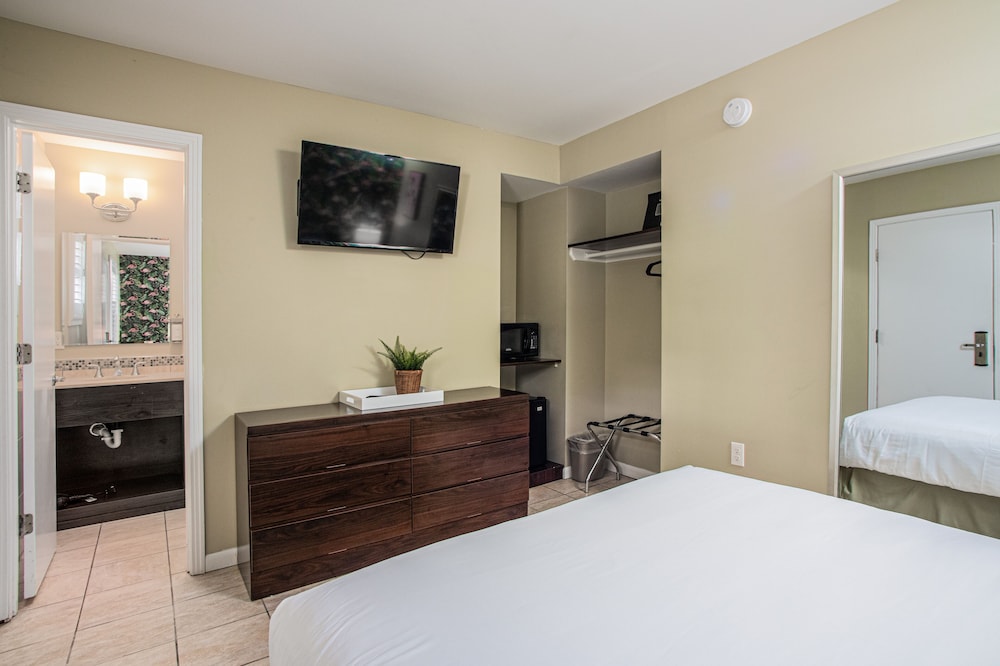 the local st augustine