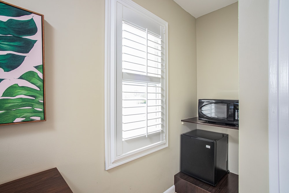 the local st augustine