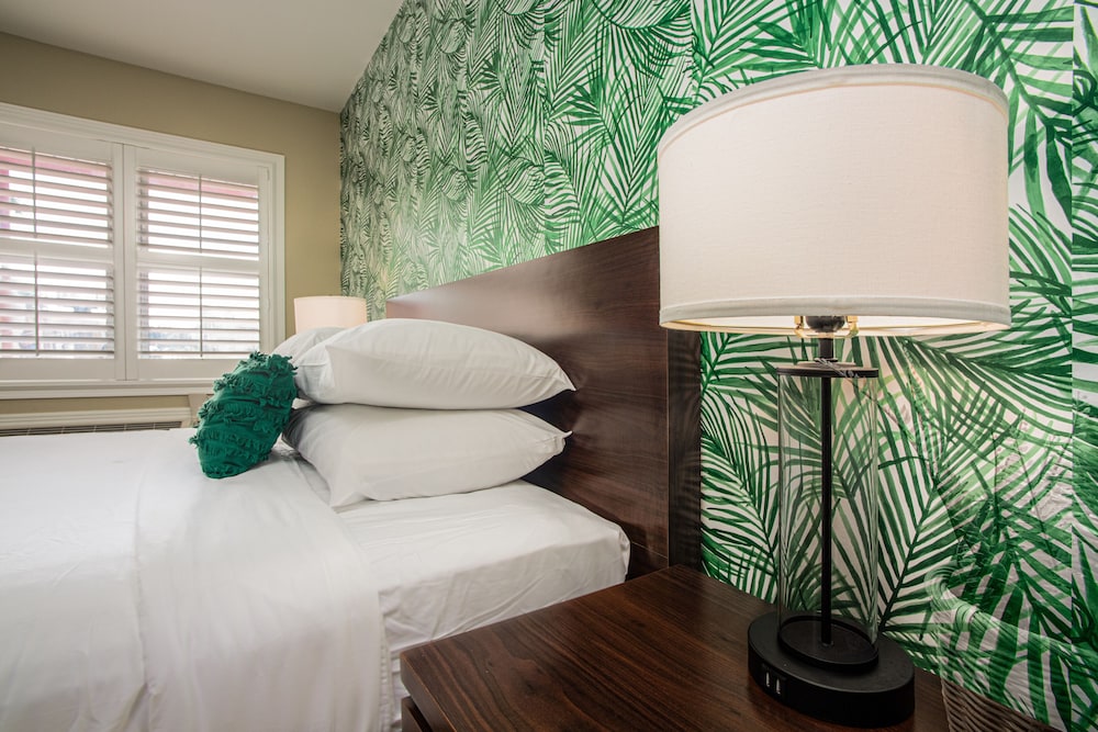 the local st augustine