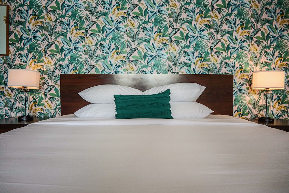 the local st augustine