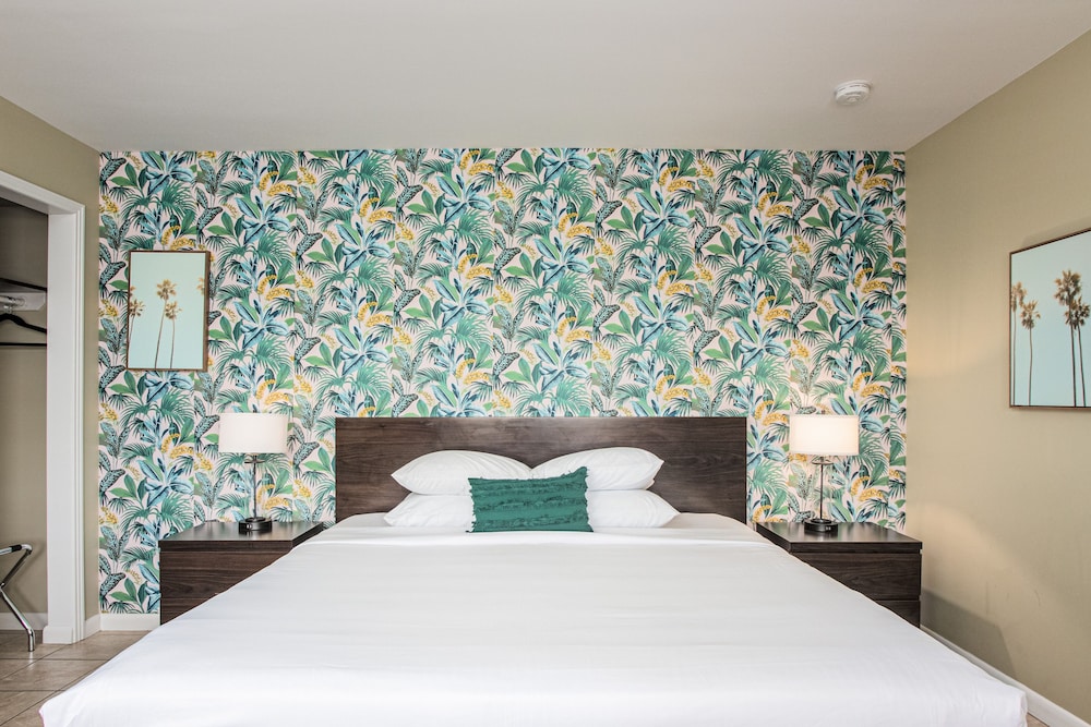 the local st augustine