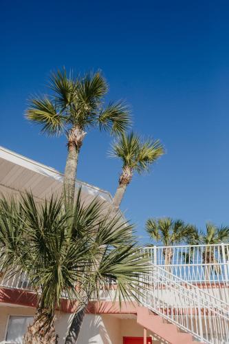 the local st augustine