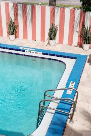 the local st augustine