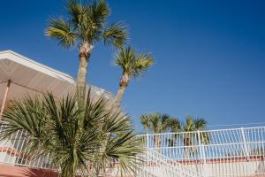 the local st augustine