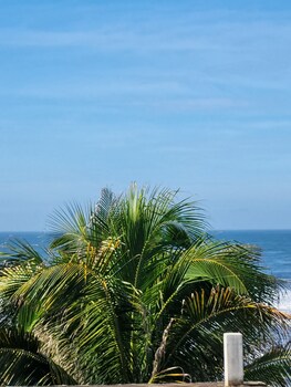 gecko hotel el paredon