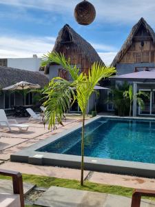 gecko hotel el paredon