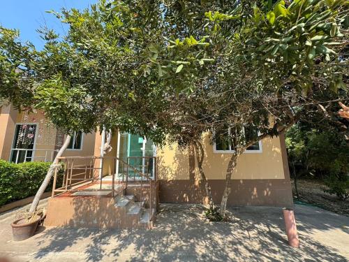 crypto resort koh larn