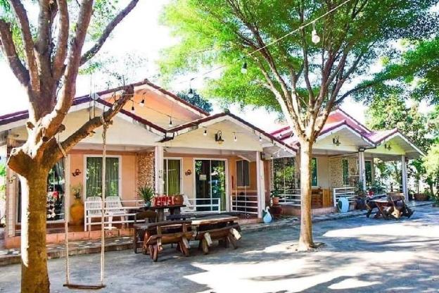 crypto resort koh larn