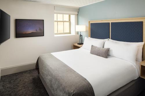 hotel ursa