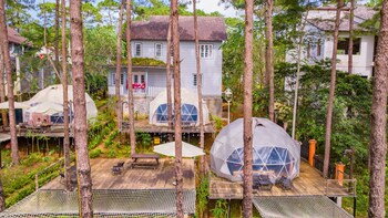 de vivre homestay mang den