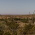 terlingua