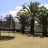 gualaceo