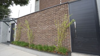 ape brooklin berrini