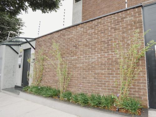 ape brooklin berrini