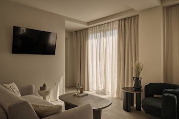 vision omonia