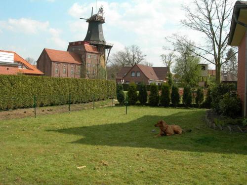 appartements krueger